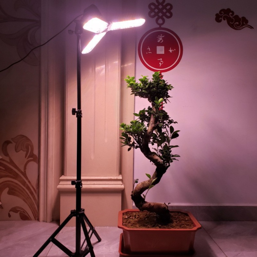 Suporte de lâmpada 2m, soquete - Photography Bulb avaliação e preço